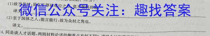 环际大联考逐梦计划2023-2024学年度高一第二学期阶段考试(一)语文