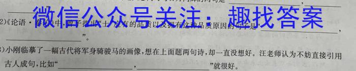 2024年河南省中招考前押题密卷(一)1语文