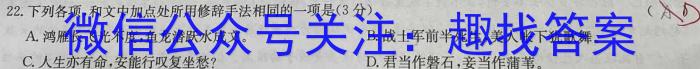 河南省2023-2024学年度第二学期七年级阶段练习二语文