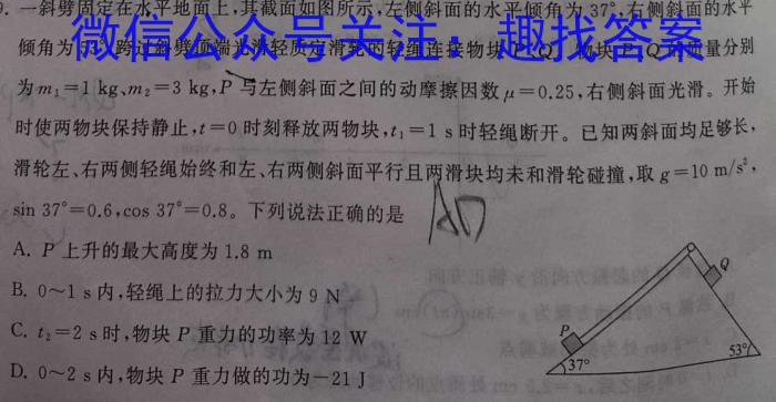 2024届河北省高三大数据应用调研联合测评(冲刺模拟卷)物理`