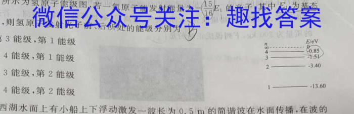河南省2023-2024学年高二下学期第一次月考(24-378B)h物理
