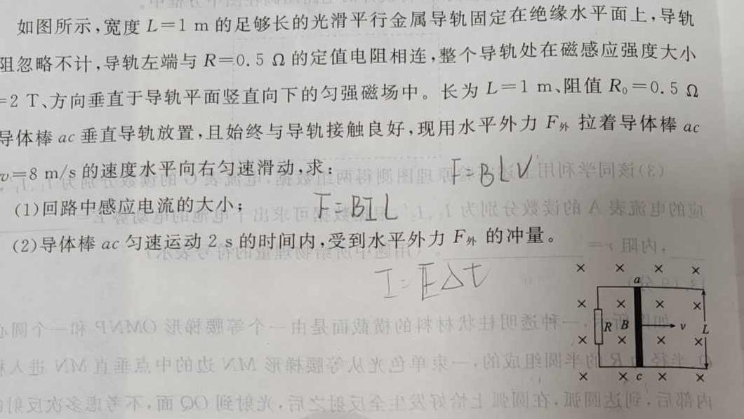 河南省2023-2024学年高二期末(下)测试(24-601B)-(物理)试卷答案