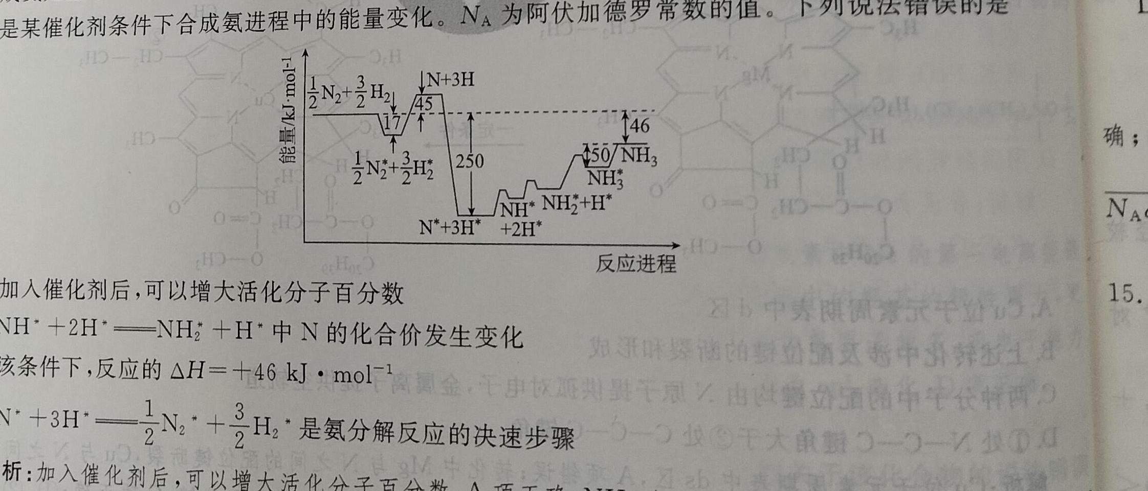 【热荐】安徽省2024年春学期毕业班第一次调研考化学