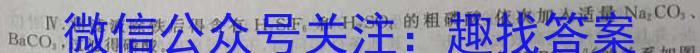 陕西省2023-2024学年八年级学业水平质量监测（5月）A化学