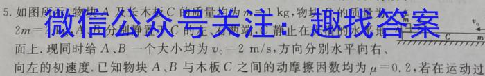 [绥化三模]黑龙江绥化市2024届高三5月联考模拟检测卷物理`