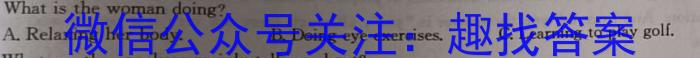 鼎成原创模考2024年河南省普通高中招生考试核心诊断卷英语
