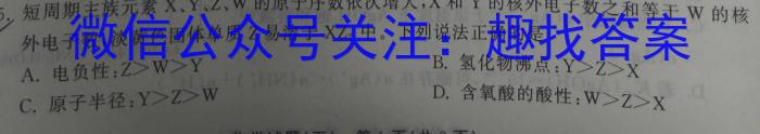 2024届智慧上进 名校学术联盟 高考模拟信息卷押题卷GS(十一)化学