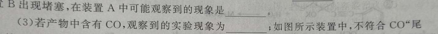 1河南省平舆县2024年九年级［决战中招］模拟试卷化学试卷答案