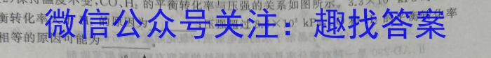 安徽省2023-2024学年度第二学期九年级作业辅导练习（二）化学