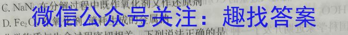 2024年河南省重点中学内部摸底试卷（二）化学