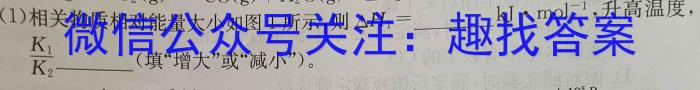 【精品】河南省2023-2024学年第二学期阶段性质量评估试卷（九年级）化学