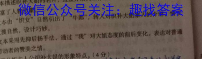 安师联盟 安徽省2024年中考仿真极品试卷(三)3语文