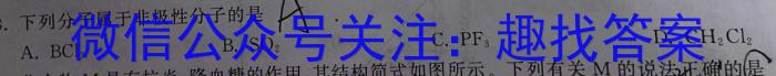 2024年湖北省新高考信息卷(一)化学