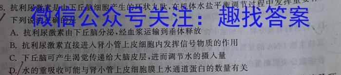 山东省2024年普通高等学校招生全国统一考试测评试题(四)4生物学试题答案