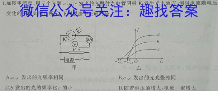 湖南天壹名校联盟·2024年上学期高二5月大联考物理试题答案