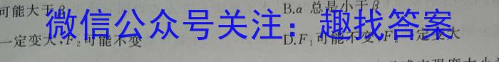 2024年河北中考预测卷(10)物理`