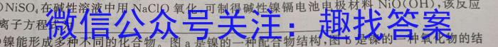 q2024届青海省高三4月联考(同心圆)化学