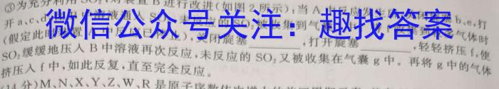 【精品】[万唯中考]2024年河南省普通高中招生考试·万唯原创 模拟卷一化学