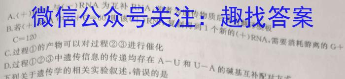 2024-2025学年高二山西名校十月联合考试(62B)生物学试题答案