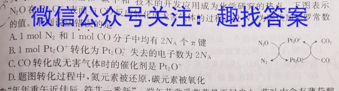 【精品】安徽省2024年九年级考试（无标题）化学