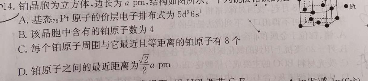 1学普试卷 2024届高三第一次·信息调研卷(一)化学试卷答案