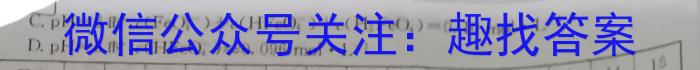 河北省2024-2025学年高三学科素养检测(开学)化学