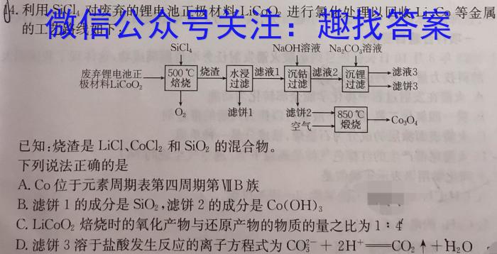 鼎成大联考2024年河南省普通高中招生考试试卷(一)化学