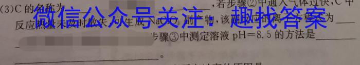 3安徽省2023-2024学年度八年级阶段考试化学试题