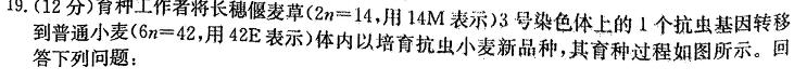江西省2024年初中学业水平考试模拟(一)1生物