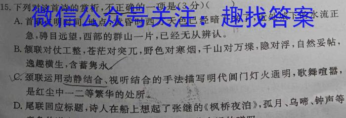 甘肃省2024年陇南市中考模拟联考卷（二）语文