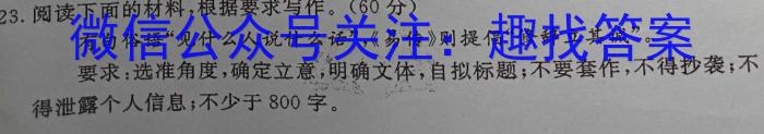 陕西省2025届高三第一次校际联考语文