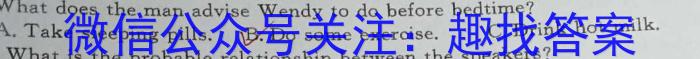 陕西省2024年初中学业水平考试DB英语试卷答案