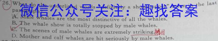 ［甘肃一诊］2024年甘肃省第一次高考诊断考试（甘肃一模）英语试卷答案