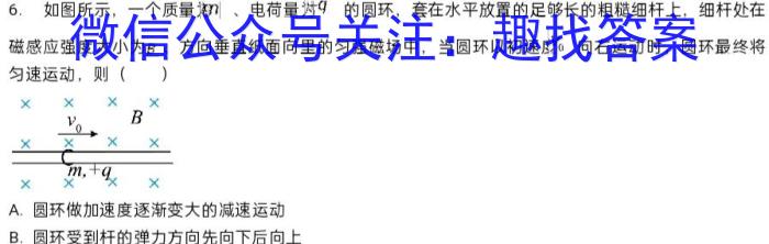 黑龙江省桦川一中2023-2024学年度第二学期高一期末考试物理试题答案