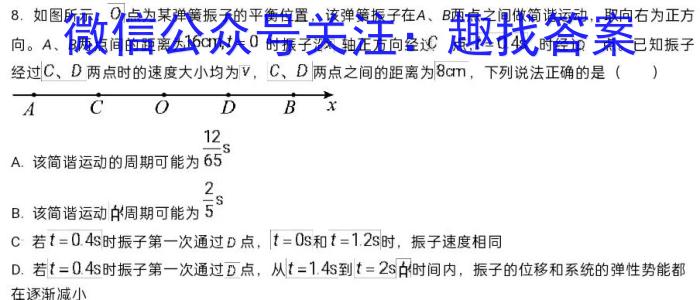 湖南省长郡中学2024届高考适应性考试(四)4物理`