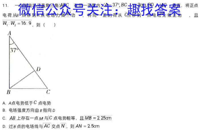 2024ѧϿԣڶΣxԾ