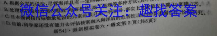 2024年河南中招考试模拟冲刺卷(四)语文