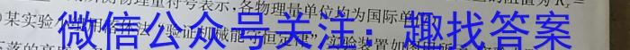 炎德英才 名校联考联合体2024年秋季高二第一次联考(暨入学检测)物理试题答案