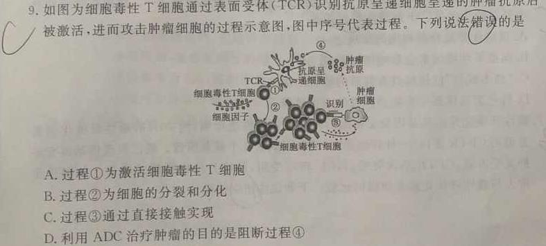 ［黑龙江大联考］黑龙江省2024届高三年级4月联考（↑）生物