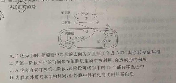 2024届河南省九年级中考真题生物