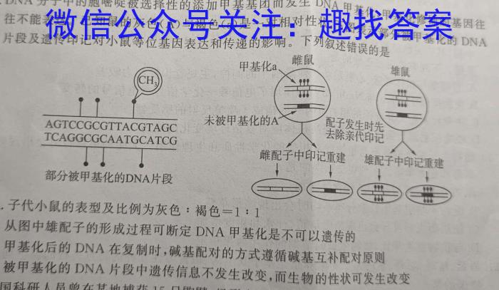 2024届河南省八市重点高中高三4月第一次模拟考试生物学试题答案