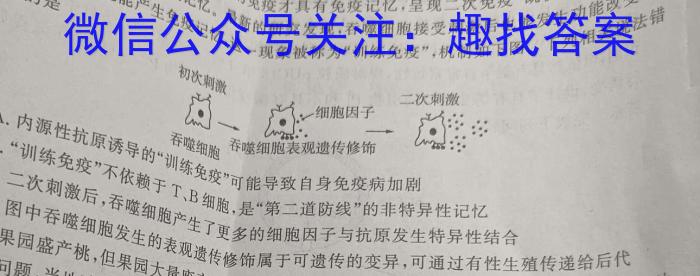 2023-2024吉林高二期末联考(586B)生物学试题答案