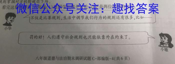 2024届非凡吉创新高中创新联盟TOP二十名校高一年级2月调研考试(241468D)政治试卷d答案