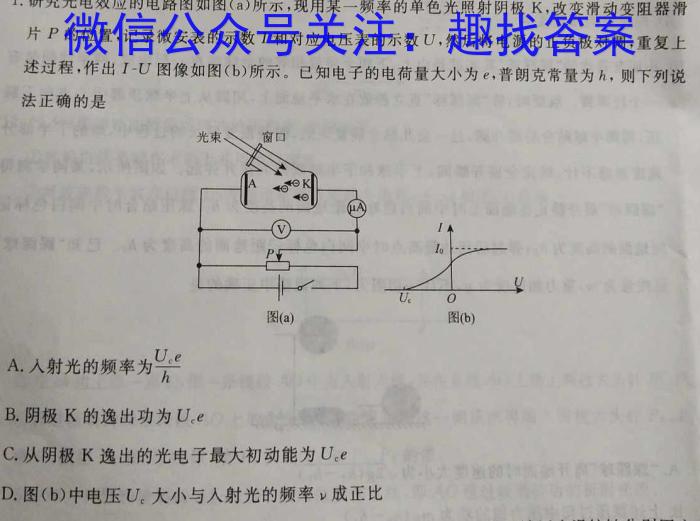 伊犁州直和兵团第四师、第七师高中学业水平 2024秋学期高三第一次质量监测试题物理试题答案