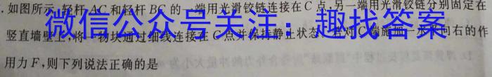 河北省2024年中考模拟示范卷 HEB(二)2物理