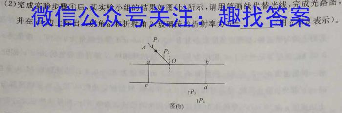 河北省赵县2023-2024学年度第二学期期末学业质量检测八年级物理试题答案