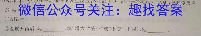 2024年陕西省初中学业水平考试·仿真模底卷C化学