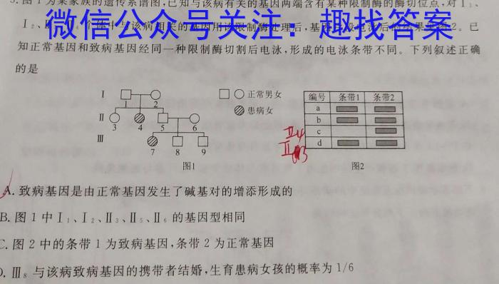 天一大联考2024-2025学年(上)高二年级开学考生物学试题答案