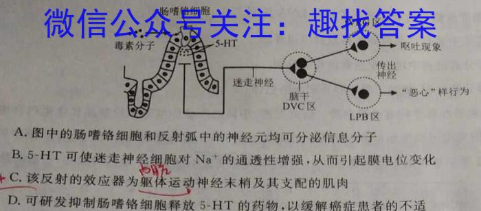 陕西省2024年初中学业水平考试模拟试题（三）生物学试题答案