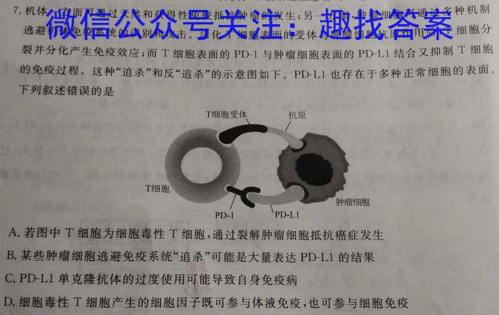 天一大联考 2024届高三年级第一次模拟考试生物学试题答案